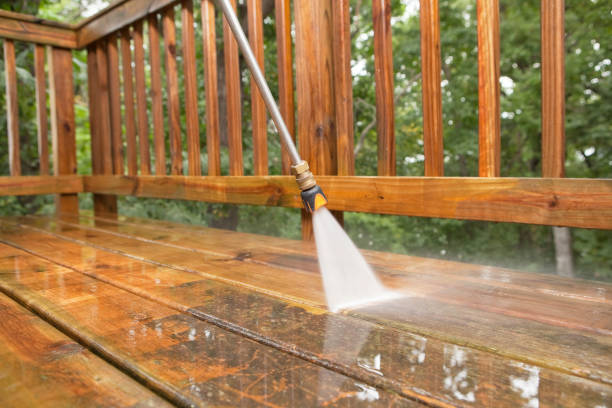 Best Rust Removal  in Myrtle Grove, FL